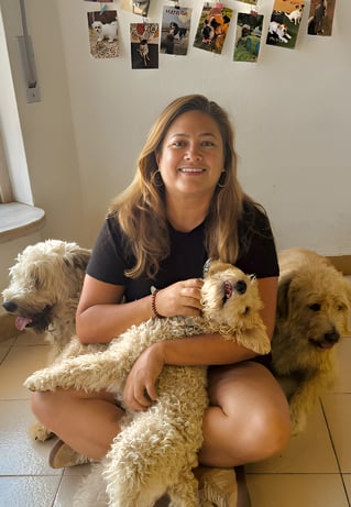 Cuidados com cães